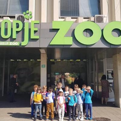We went to see the animals in the ZOO